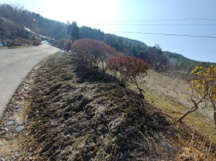 충청남도 금산군 남일면 신정리 624 답 경매 사진 14