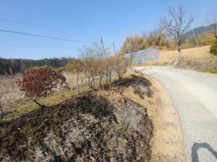 충청남도 금산군 남일면 신정리 624 답 경매 사진 15