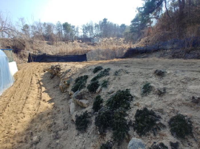 충청남도 금산군 남일면 신정리 624 답 경매 사진 21