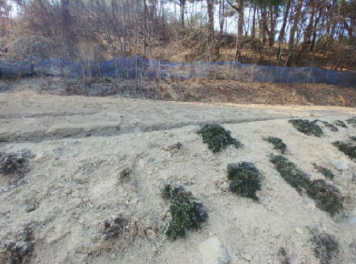 충청남도 금산군 남일면 신정리 624 답 경매 사진 22