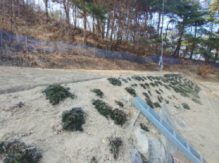 충청남도 금산군 남일면 신정리 624 답 경매 사진 23