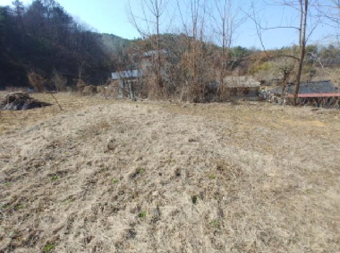 충청남도 금산군 남일면 신정리 624 답 경매 사진 24