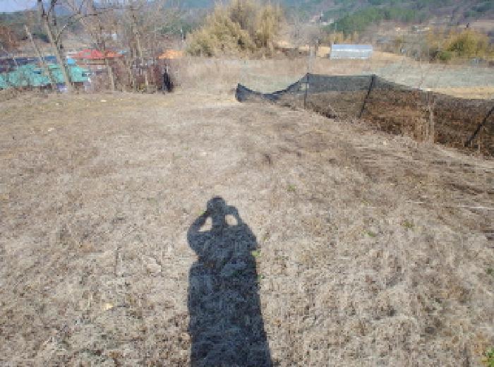 충청남도 금산군 남일면 신정리 624 답 경매 사진 25