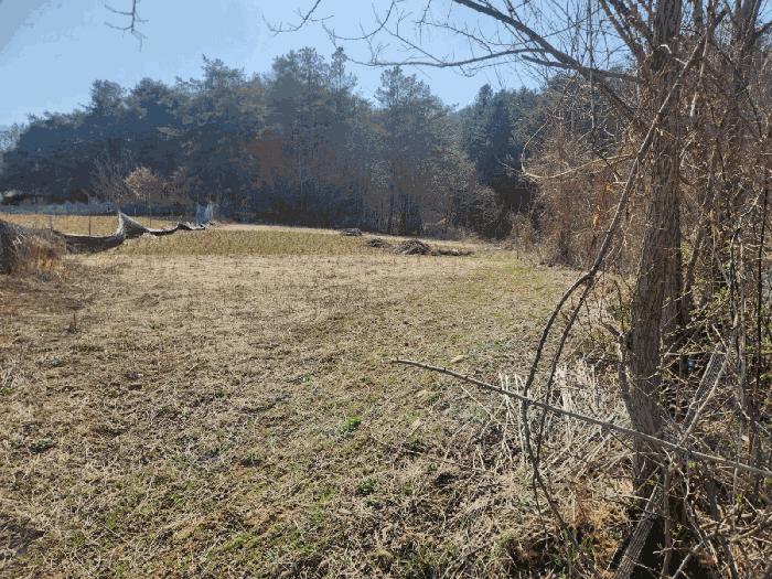 충청남도 금산군 남일면 신정리 624 답 경매 사진 3