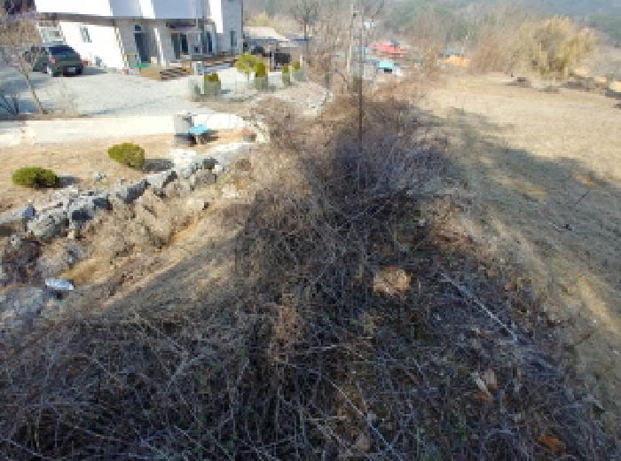 충청남도 금산군 남일면 신정리 624 답 경매 사진 31