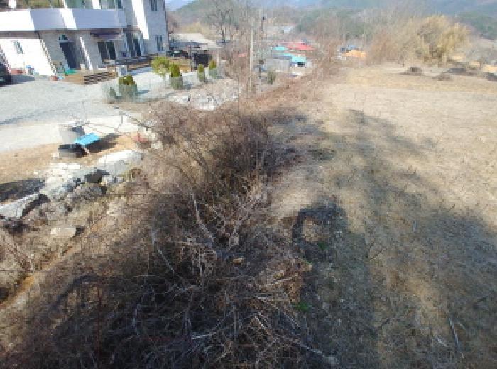 충청남도 금산군 남일면 신정리 624 답 경매 사진 32