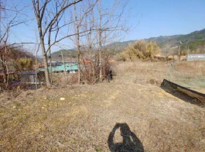 충청남도 금산군 남일면 신정리 624 답 경매 사진 37