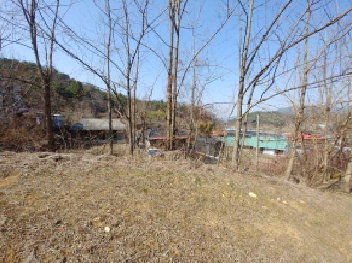 충청남도 금산군 남일면 신정리 624 답 경매 사진 38