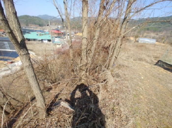 충청남도 금산군 남일면 신정리 624 답 경매 사진 39