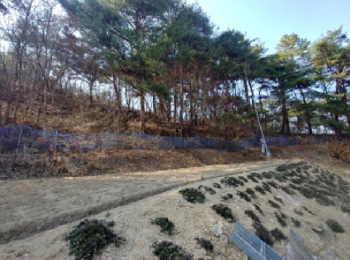 충청남도 금산군 남일면 신정리 624 답 경매 사진 44