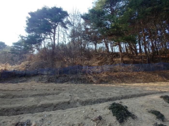 충청남도 금산군 남일면 신정리 624 답 경매 사진 45