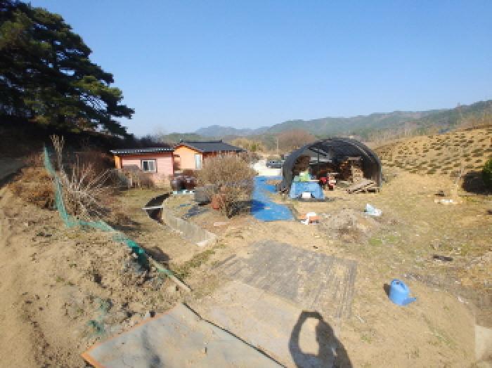 충청남도 금산군 남일면 신정리 624 답 경매 사진 48