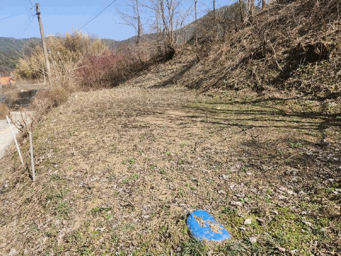 충청남도 금산군 남일면 신정리 624 답 경매 사진 5
