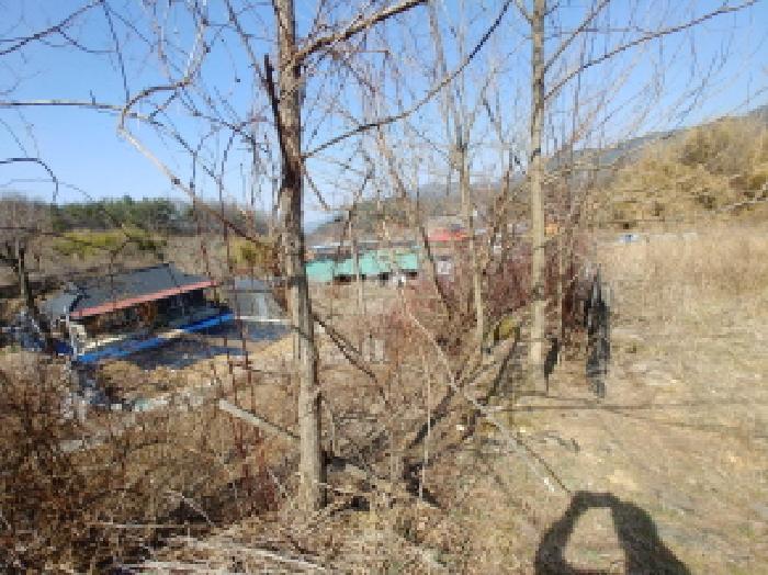 충청남도 금산군 남일면 신정리 624 답 경매 사진 50