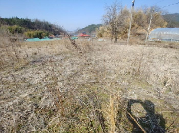 충청남도 금산군 남일면 신정리 624 답 경매 사진 51