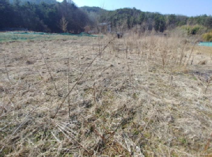 충청남도 금산군 남일면 신정리 624 답 경매 사진 52