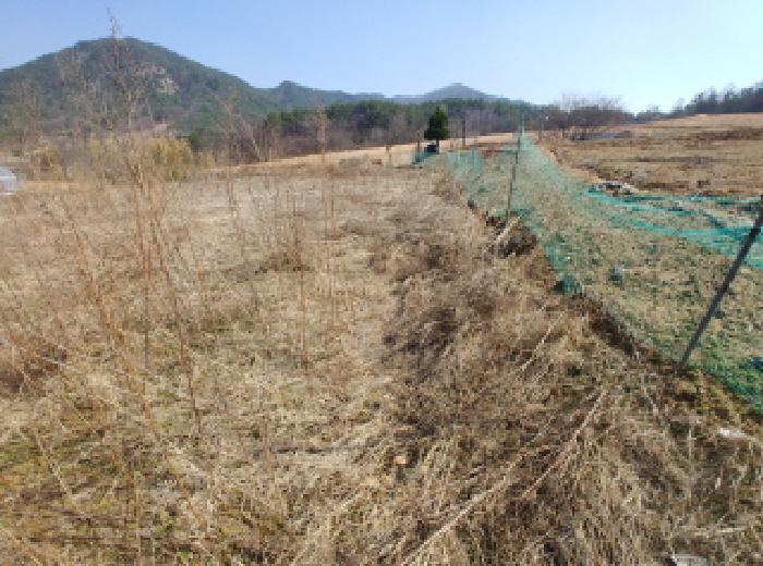 충청남도 금산군 남일면 신정리 624 답 경매 사진 54