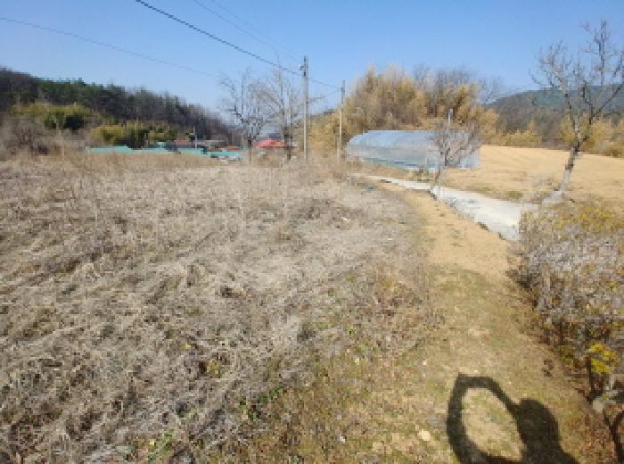 충청남도 금산군 남일면 신정리 624 답 경매 사진 56
