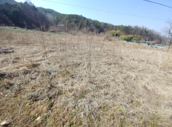 충청남도 금산군 남일면 신정리 624 답 경매 사진 57