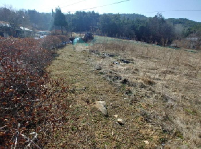 충청남도 금산군 남일면 신정리 624 답 경매 사진 58