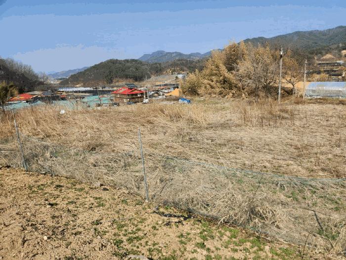충청남도 금산군 남일면 신정리 624 답 경매 사진 6