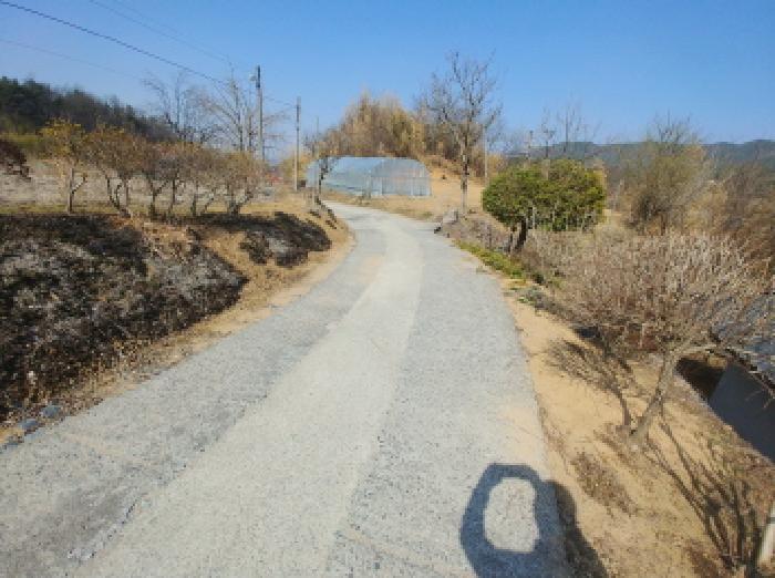 충청남도 금산군 남일면 신정리 624 답 경매 사진 65