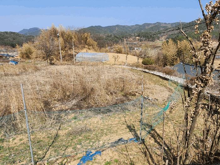 충청남도 금산군 남일면 신정리 624 답 경매 사진 8