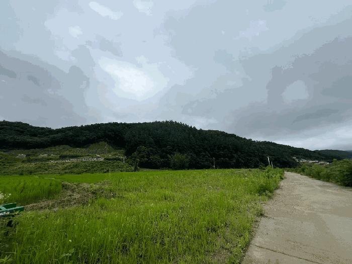 경기도 양평군 옥천면 신복리 산3 임야 경매 사진 1