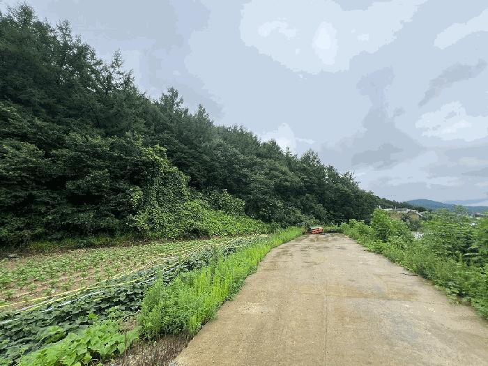 경기도 양평군 옥천면 신복리 산3 임야 경매 사진 2