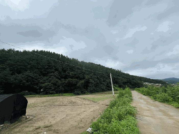 경기도 양평군 옥천면 신복리 산3 임야 경매 사진 3