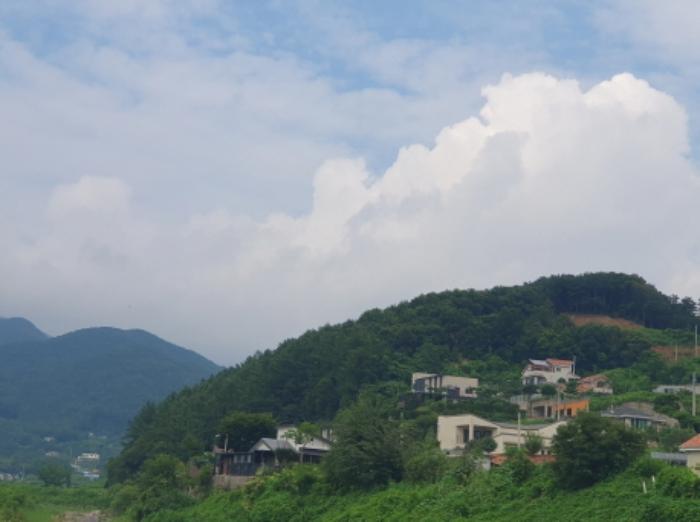 경기도 양평군 옥천면 신복리 산3 임야 경매 사진 4