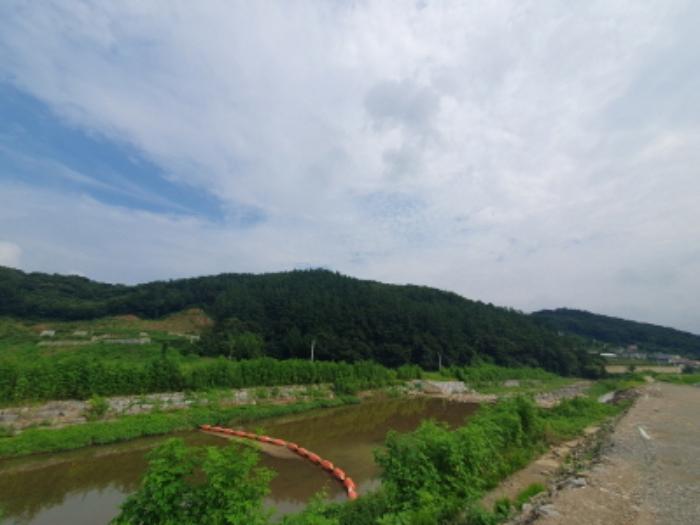 경기도 양평군 옥천면 신복리 산3 임야 경매 사진 5