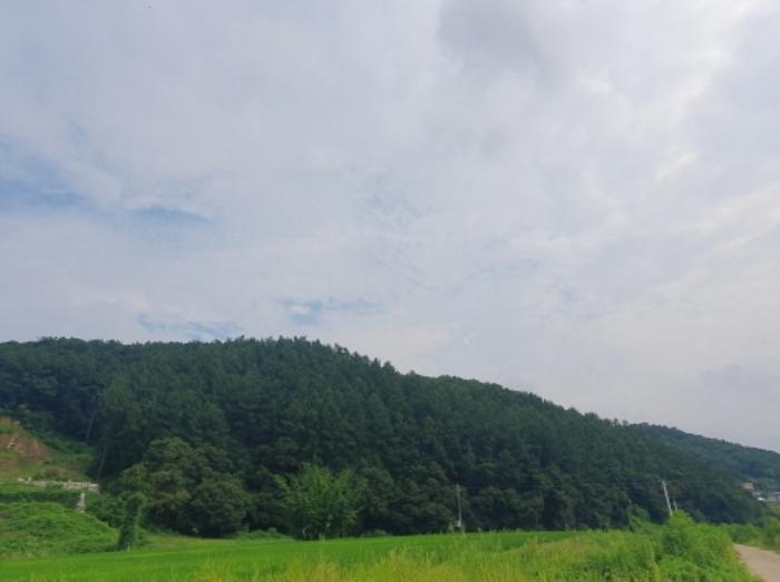 경기도 양평군 옥천면 신복리 산3 임야 경매 사진 7