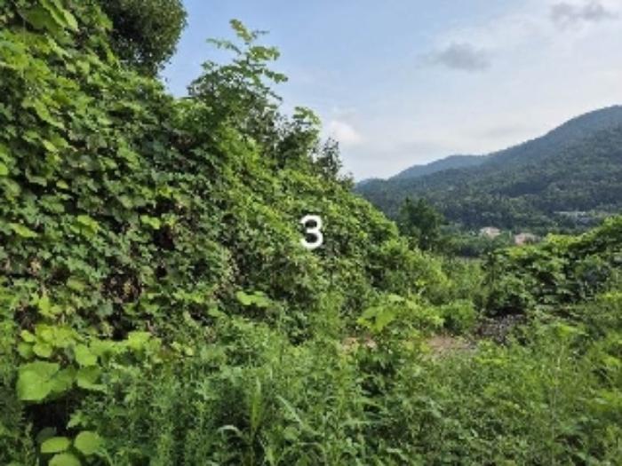 경기도 양평군 강하면 항금리 374-7 창고용지 경매 사진 12
