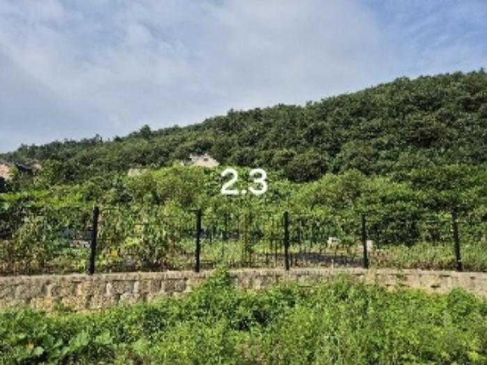 경기도 양평군 강하면 항금리 374-7 창고용지 경매 사진 13