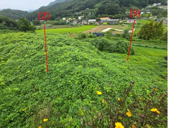 경기도 양평군 강하면 항금리 374-7 창고용지 경매 사진 3