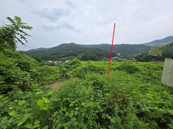 경기도 양평군 강하면 항금리 374-7 창고용지 경매 사진 6