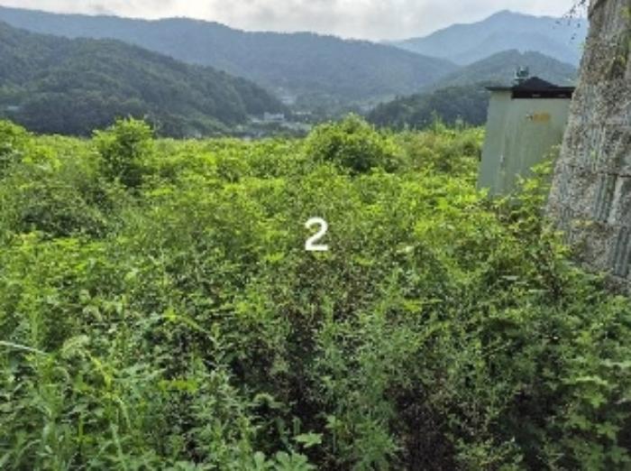 경기도 양평군 강하면 항금리 374-7 창고용지 경매 사진 9