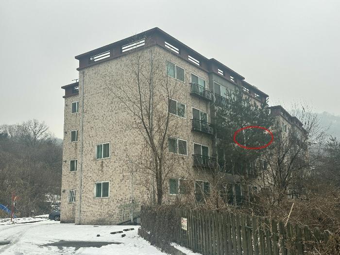 경기도 남양주시 호평로 163, 비동 3층301호 (호평동,한마음맨션3차)구) 경기도 남양주시 호평동 10-40 다세대(빌라) 경매 사진 3
