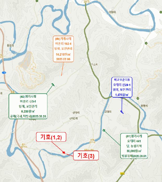 충청북도 보은군 산외면 길탕리 217-1 답 경매 사진 5
