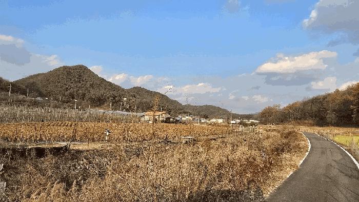 충청북도 보은군 산외면 산대리 222-1 주택 경매 사진 1