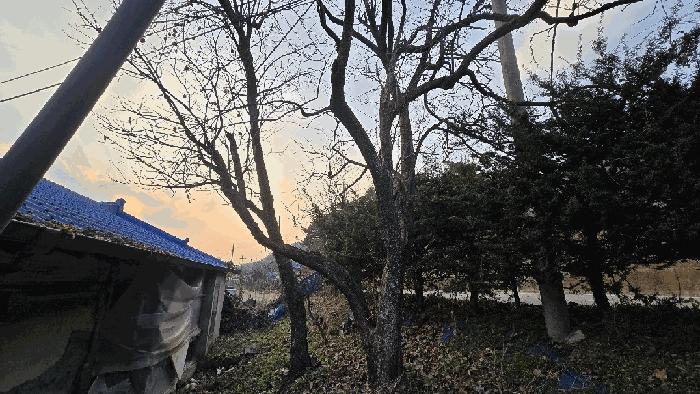 충청북도 보은군 산외면 산대리 222-1 주택 경매 사진 11