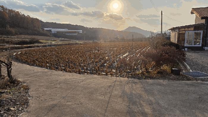 충청북도 보은군 산외면 산대리 222-1 주택 경매 사진 2