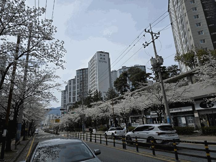 부산광역시 강서구 지사동 1184-1 지사금강펜테리움 113동 9층905호 아파트 경매 사진 10
