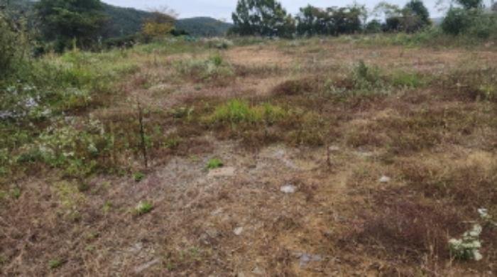 울산광역시 울주군 언양읍 구수리 783 전 경매 사진 29