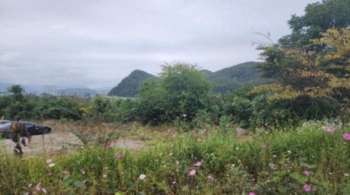 울산광역시 울주군 언양읍 구수리 783 전 경매 사진 33