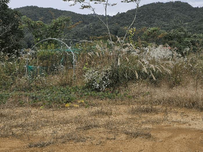 울산광역시 울주군 언양읍 구수리 783-2 근린시설 경매 사진 24