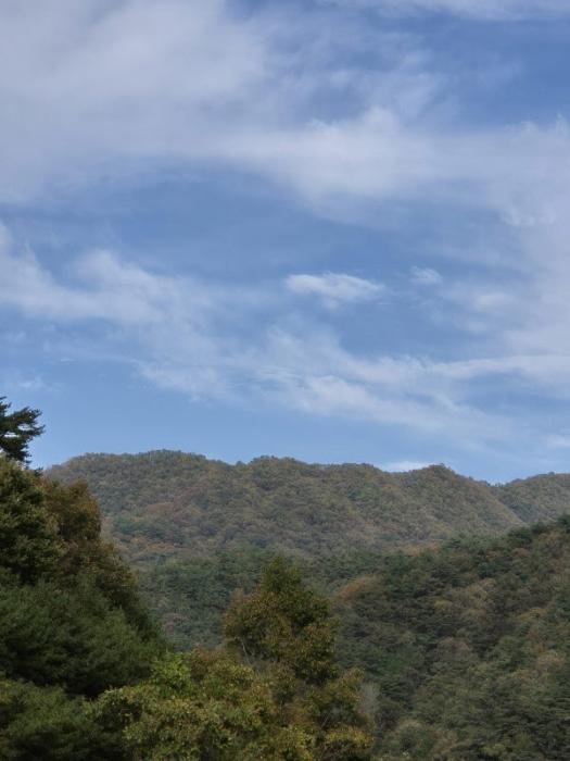 전라남도 화순군 동복면 가수리 산154 임야 경매 사진 12