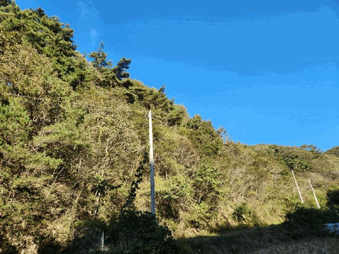 전라남도 화순군 동복면 가수리 산177 임야 경매 사진 2