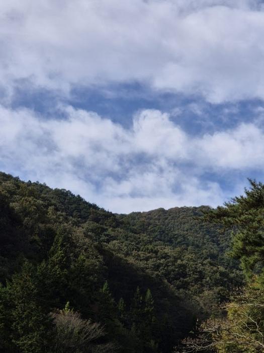전라남도 화순군 동복면 가수리 산177 임야 경매 사진 29